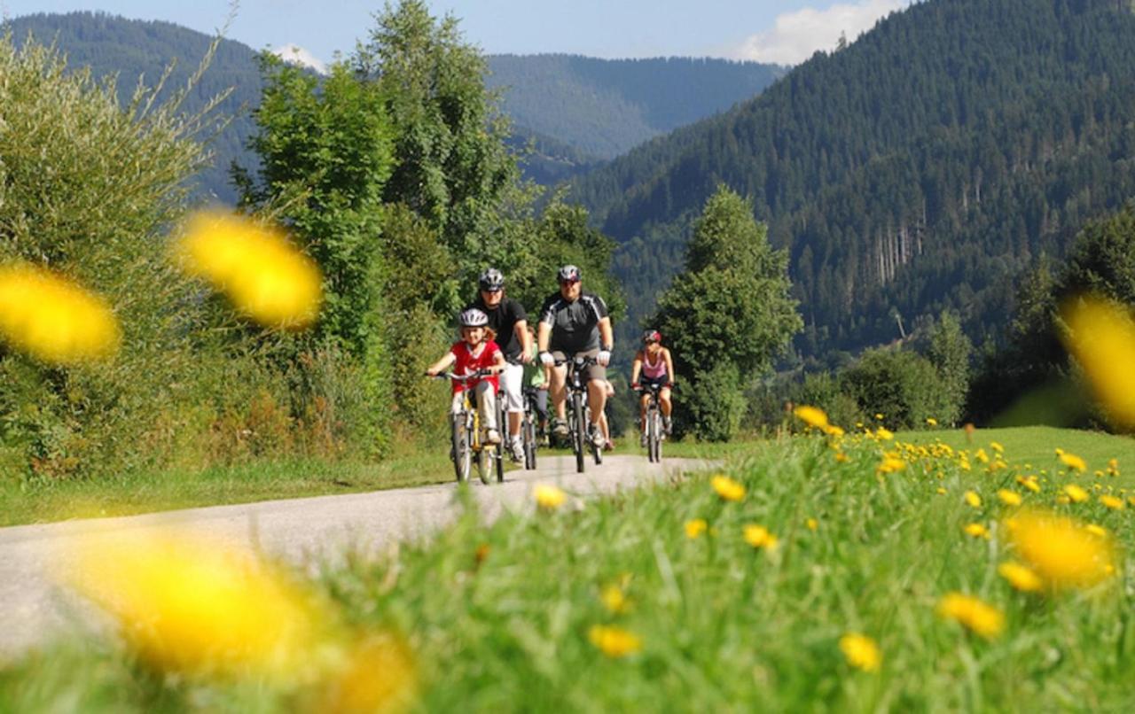 Ferienhaus Altenmarkt, Kaulfersch Altenmarkt im Pongau Kültér fotó